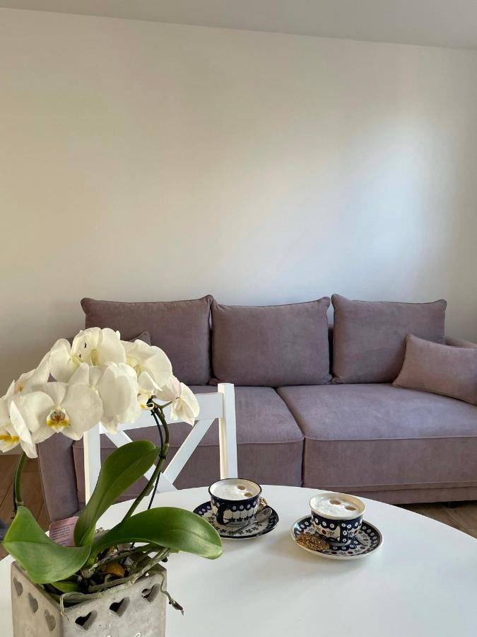 Apartament -Dwudziestka Sandomierz Kültér fotó